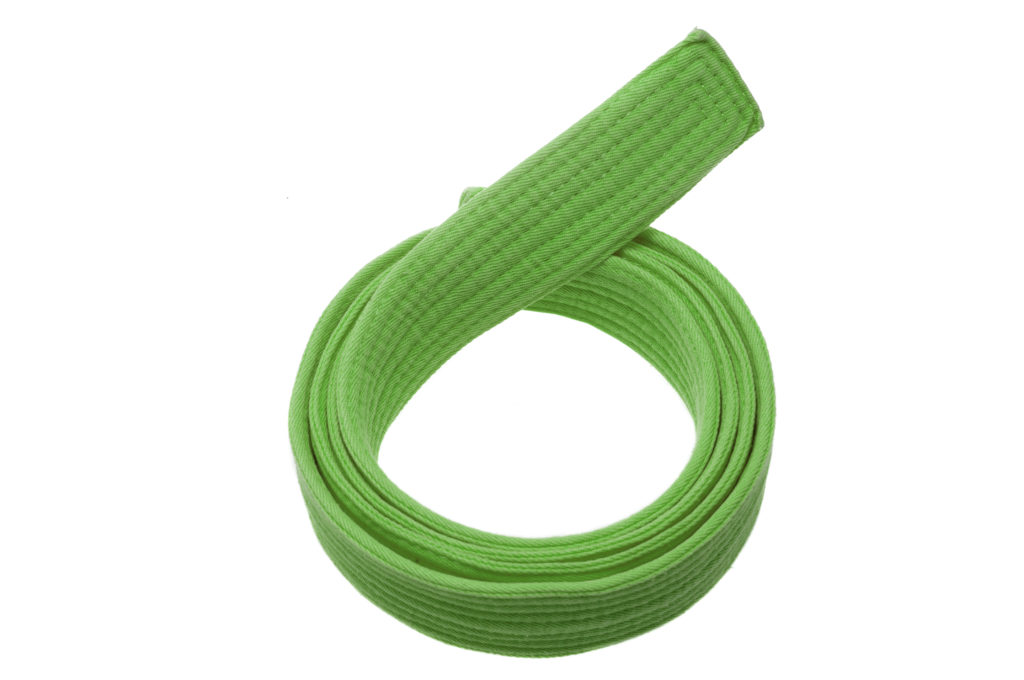 Six Sigma Green Belt and Black Belt
