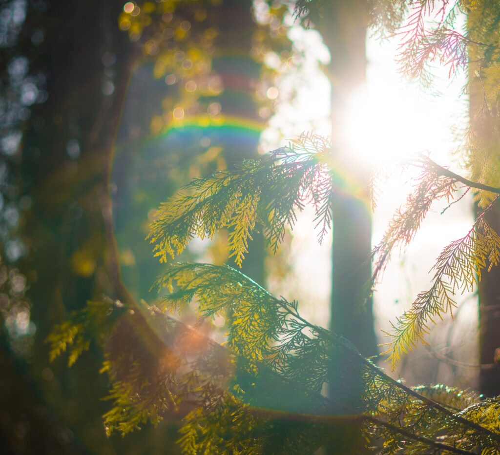 Photo by Caspar Rae on Unsplash