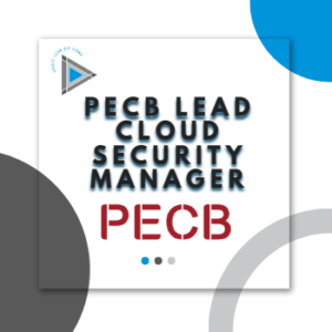 Lead Cloud Security Manager