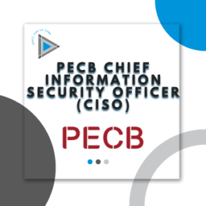 Chief Information Security Officer (CISO)