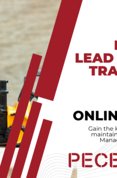 PECB Certified ISO 9001 Lead Implementer eLearning